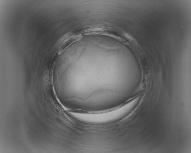 X0000080711353200701021018