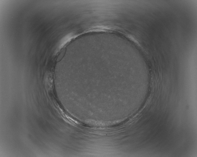 X0000080711355200701021018