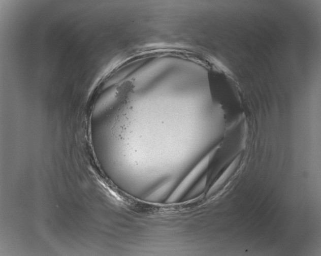 X0000080711357200701021017