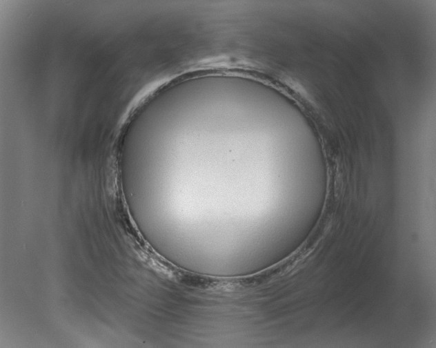 X0000080711358200701021017