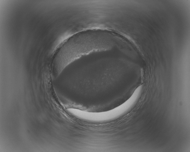 X0000080711359200701021017