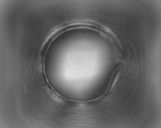 X0000080711360200701021017