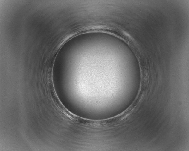 X0000080711361200701021017