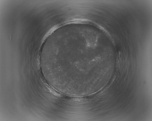 X0000080711362200701021017