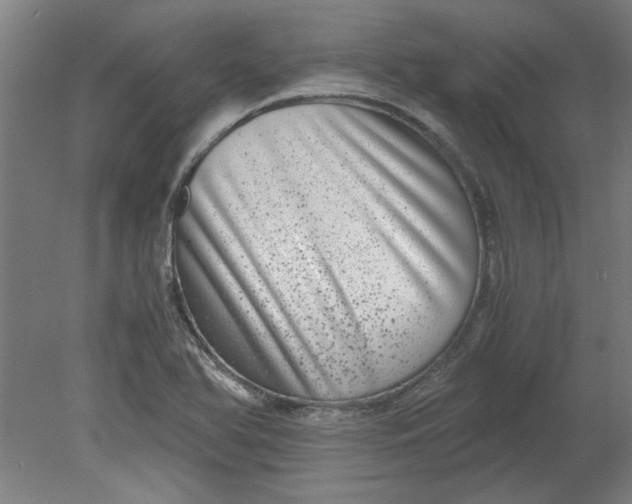 X0000080711366200701021017