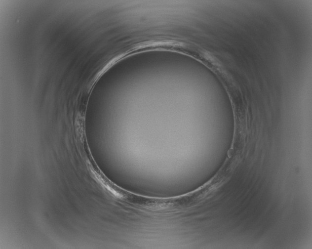 X0000080711369200701021017