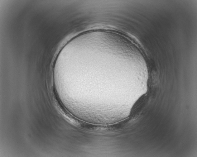 X0000080711371200701021017