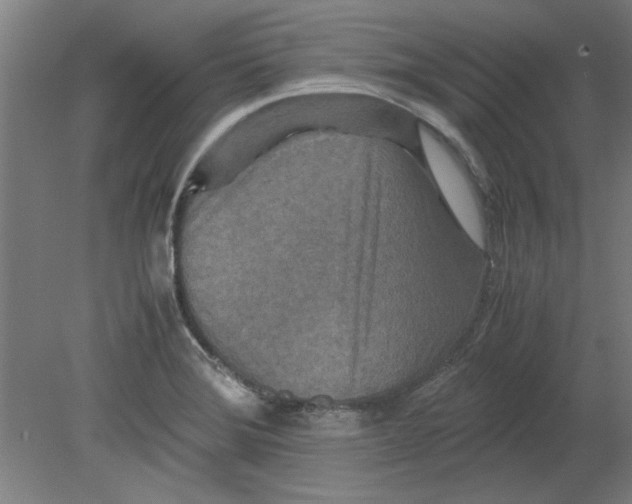 X0000080711372200701021017