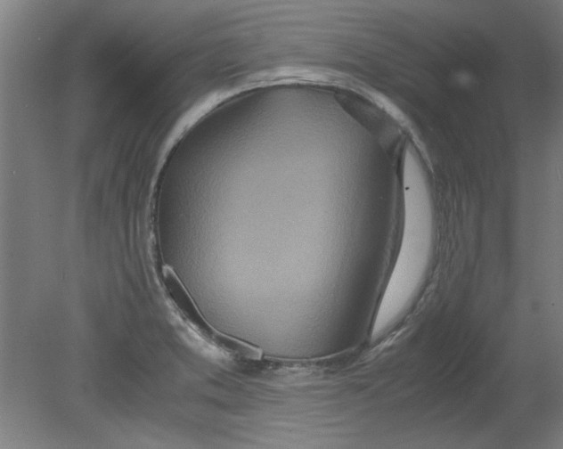 X0000080711373200701021017