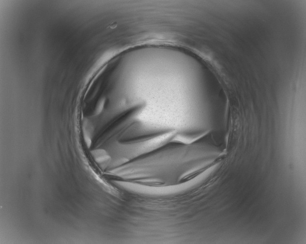 X0000080711375200701021017