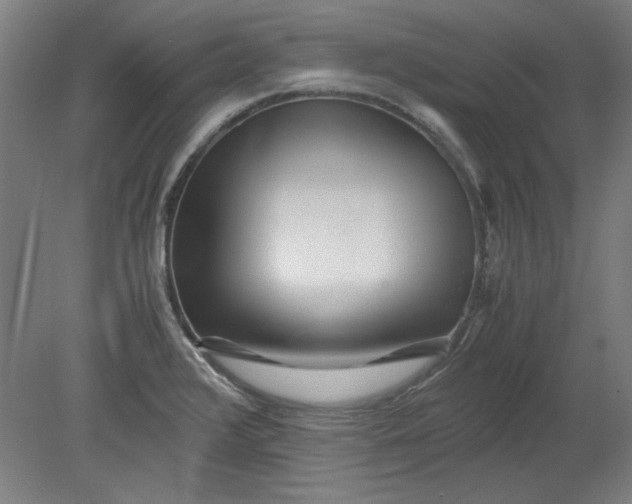 X0000080711376200701021017