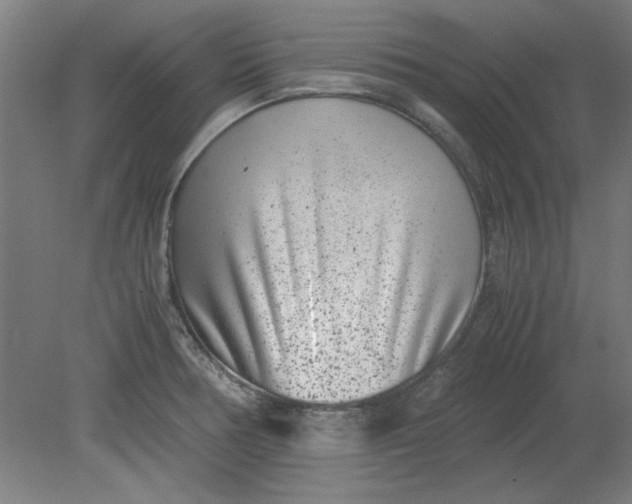 X0000080711378200701021017