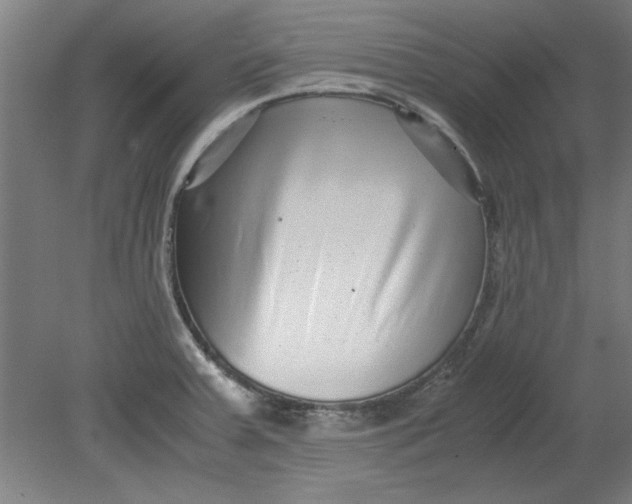 X0000080711379200701021017