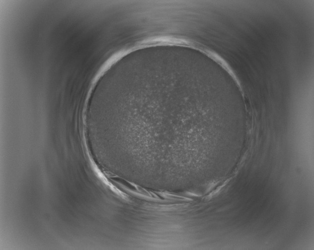 X0000080711381200701021017