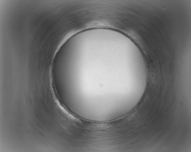 X0000080711382200701021017