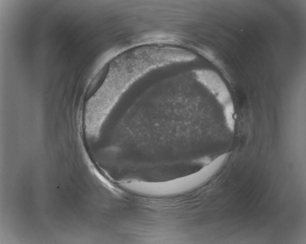 X0000080711383200701021017