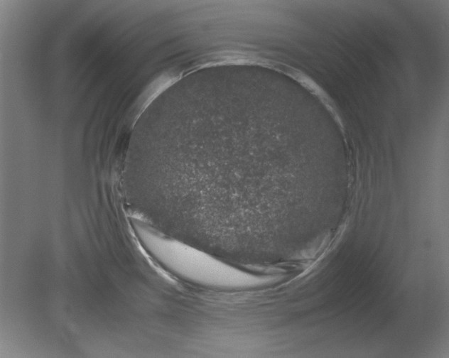 X0000080711385200701021017