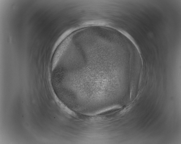 X0000080711389200701021017