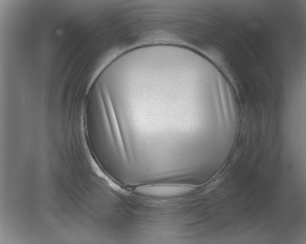 X0000080711390200701021017