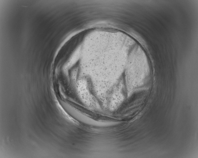 X0000080711392200701021017