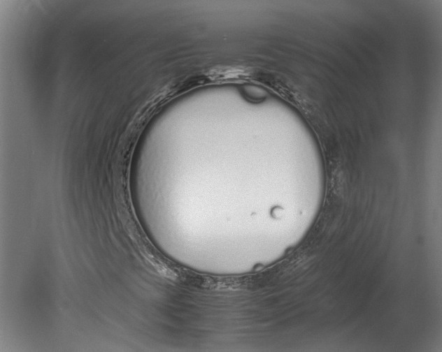 X0000080711393200701021016