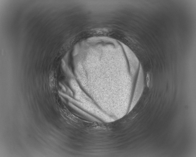 X0000080711395200701021016