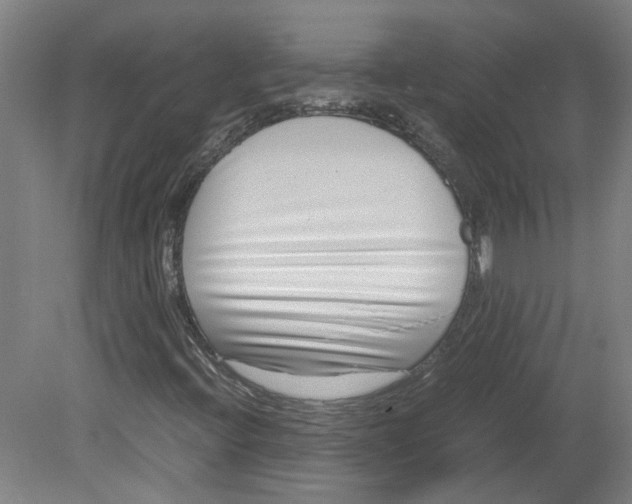 X0000080711396200701021016