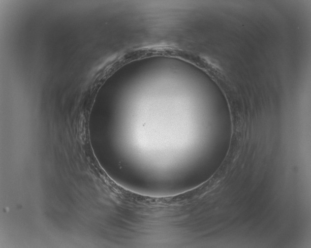 X0000080711398200701021016