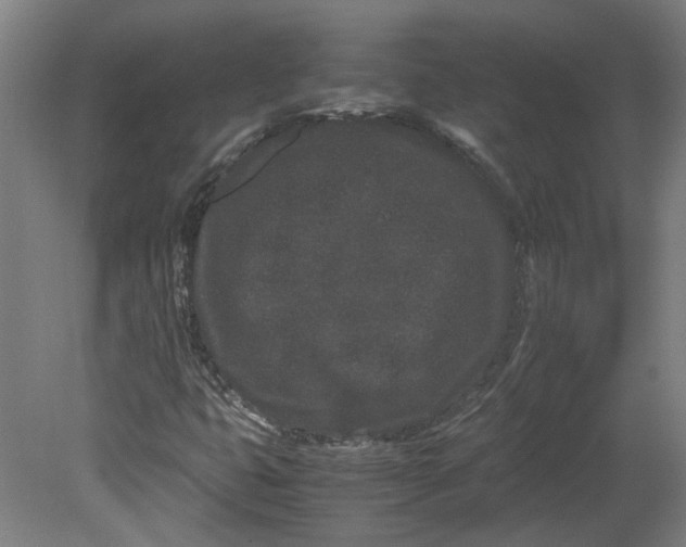 X0000080711399200701021016