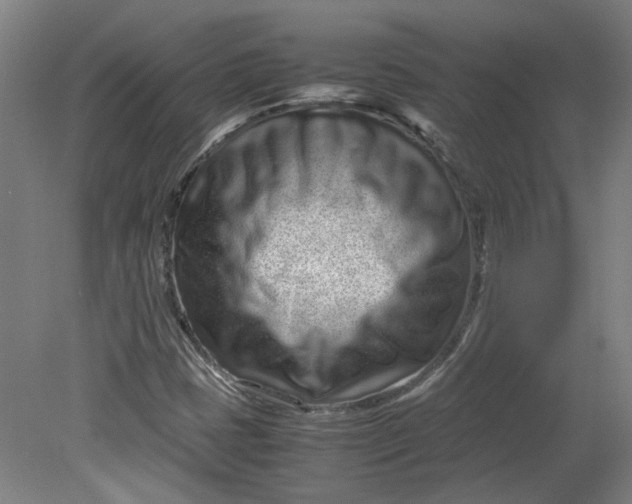 X0000080711401200701021016