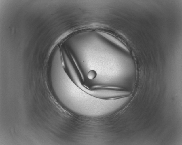 X0000080711410200701021016