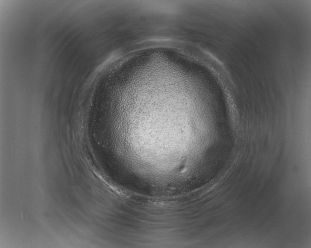 X0000080711411200701021016