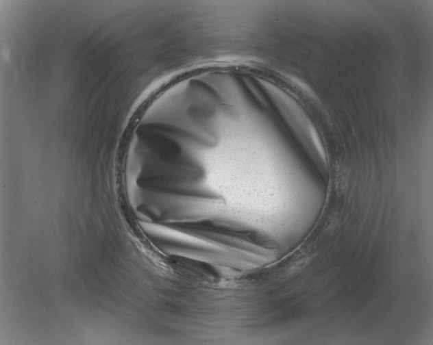 X0000080711412200701021016