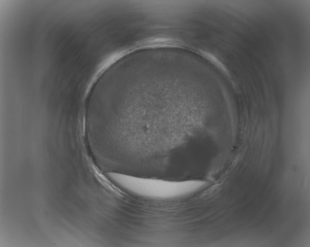 X0000080711413200701021016