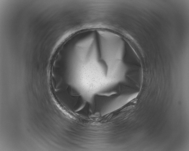 X0000080711416200701021016