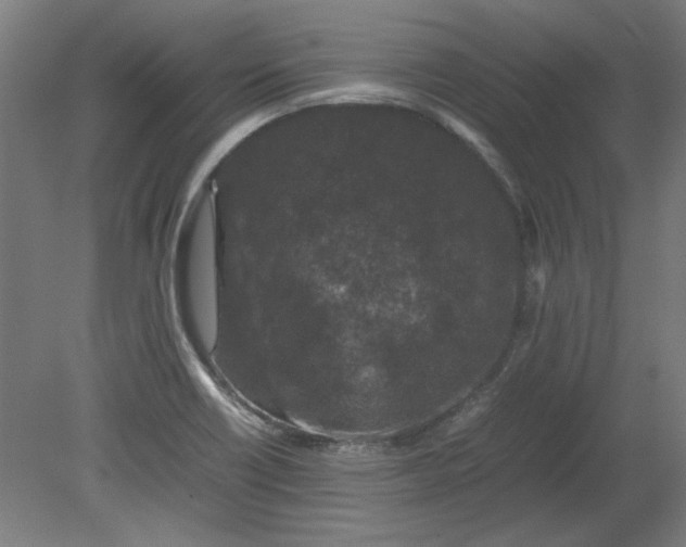 X0000080711418200701021016