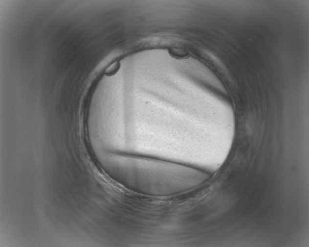 X0000080711419200701021017