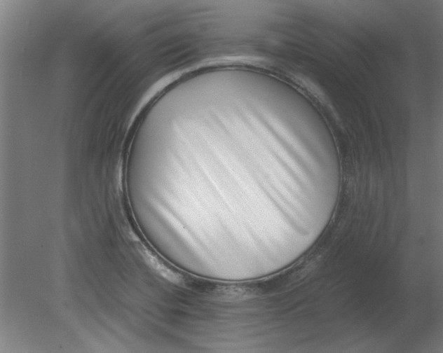 X0000080711420200701021017