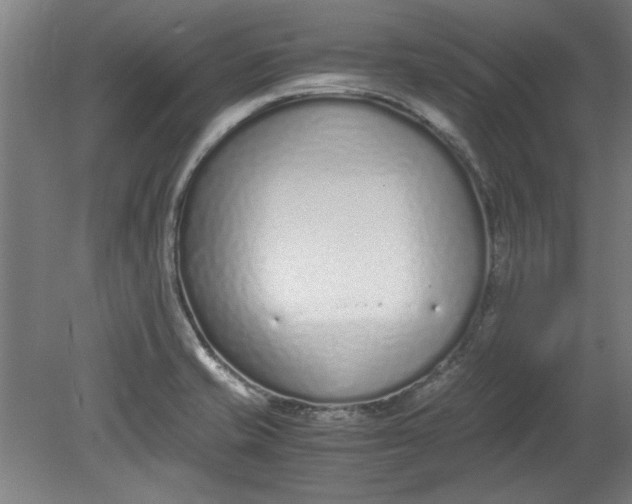 X0000080711421200701021017