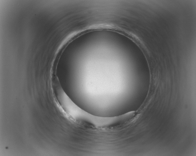 X0000080711422200701021017