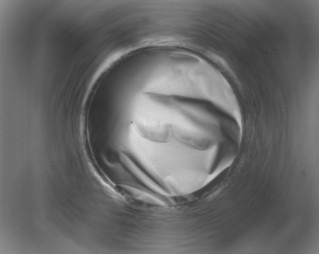 X0000080711424200701021017