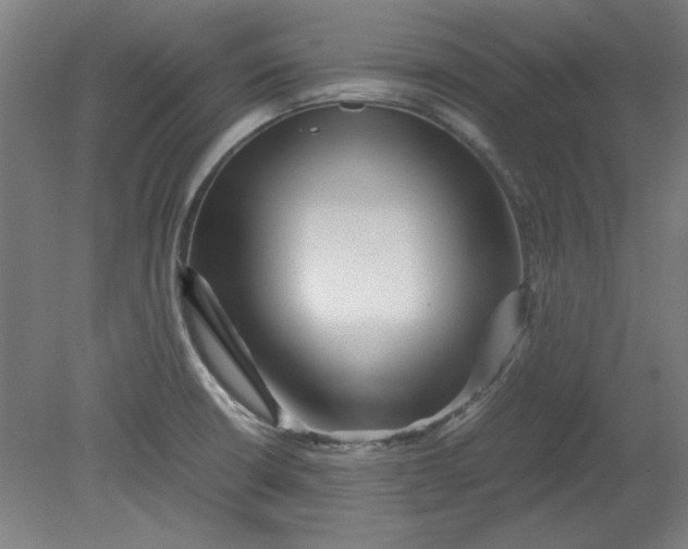 X0000080711426200701021017