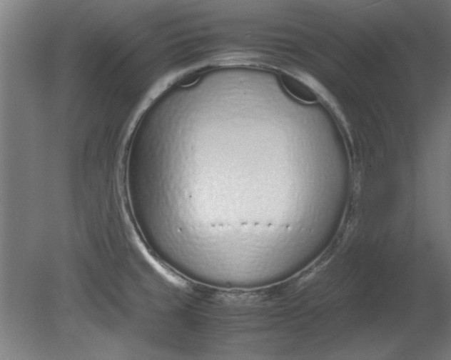 X0000080711429200701021017