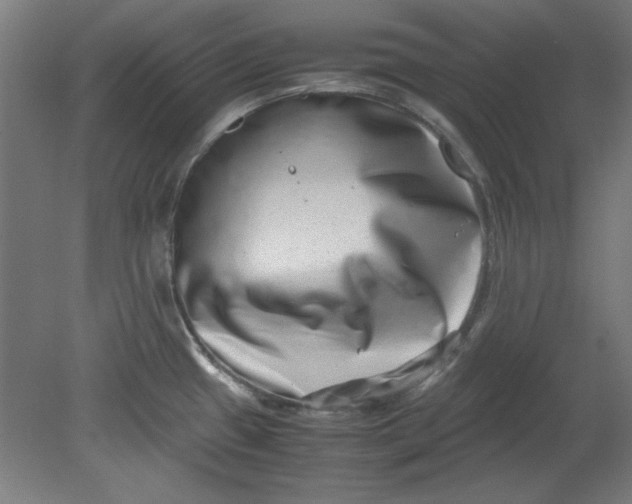 X0000080711433200701021017