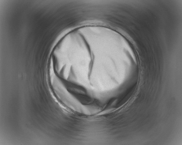 X0000080711440200701021017