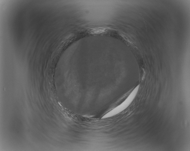 X0000080711441200701021016