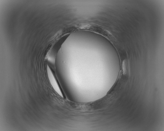 X0000080711443200701021016