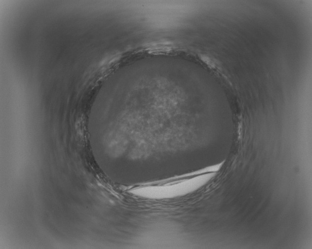 X0000080711445200701021016