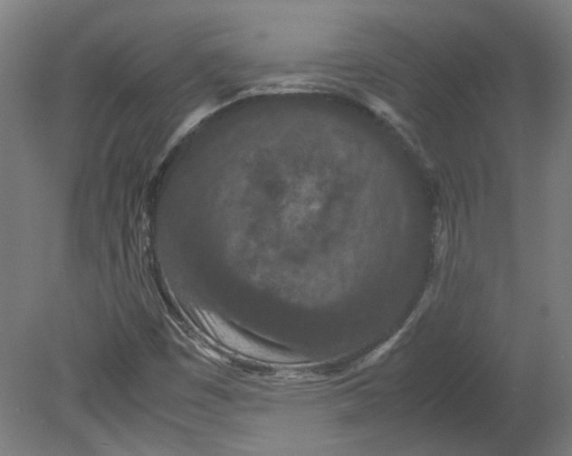 X0000080711449200701021016