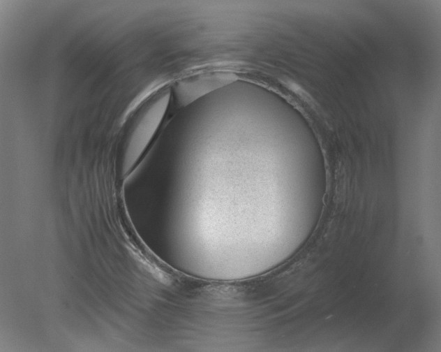 X0000080711450200701021016